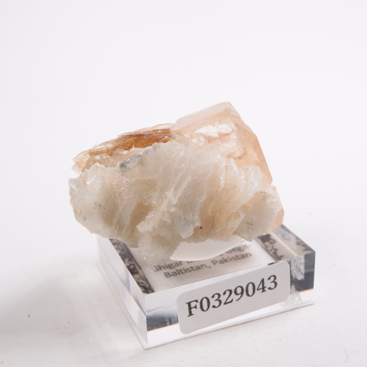 �ѥ������� �ȥѡ����������