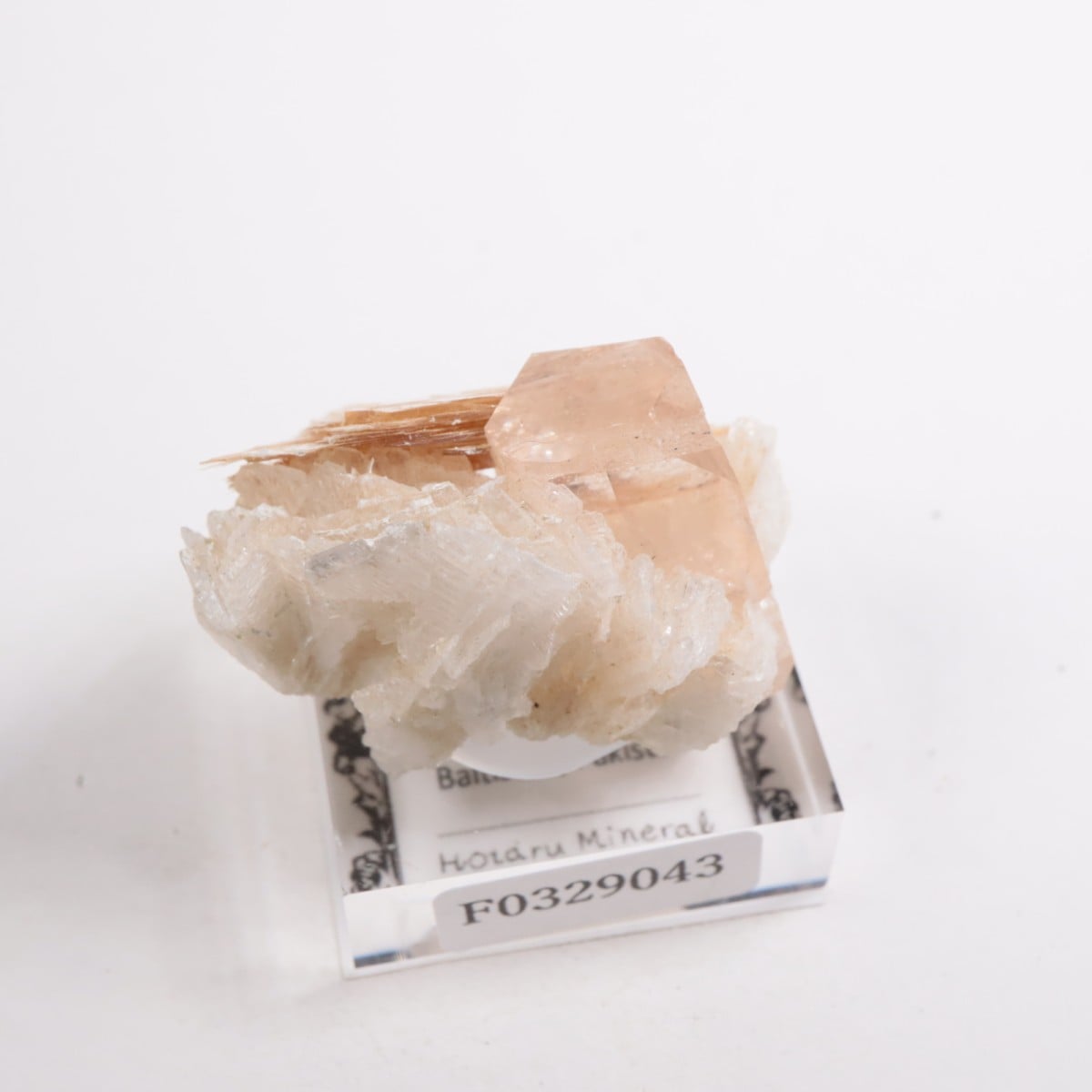 �ѥ������� �ȥѡ����������