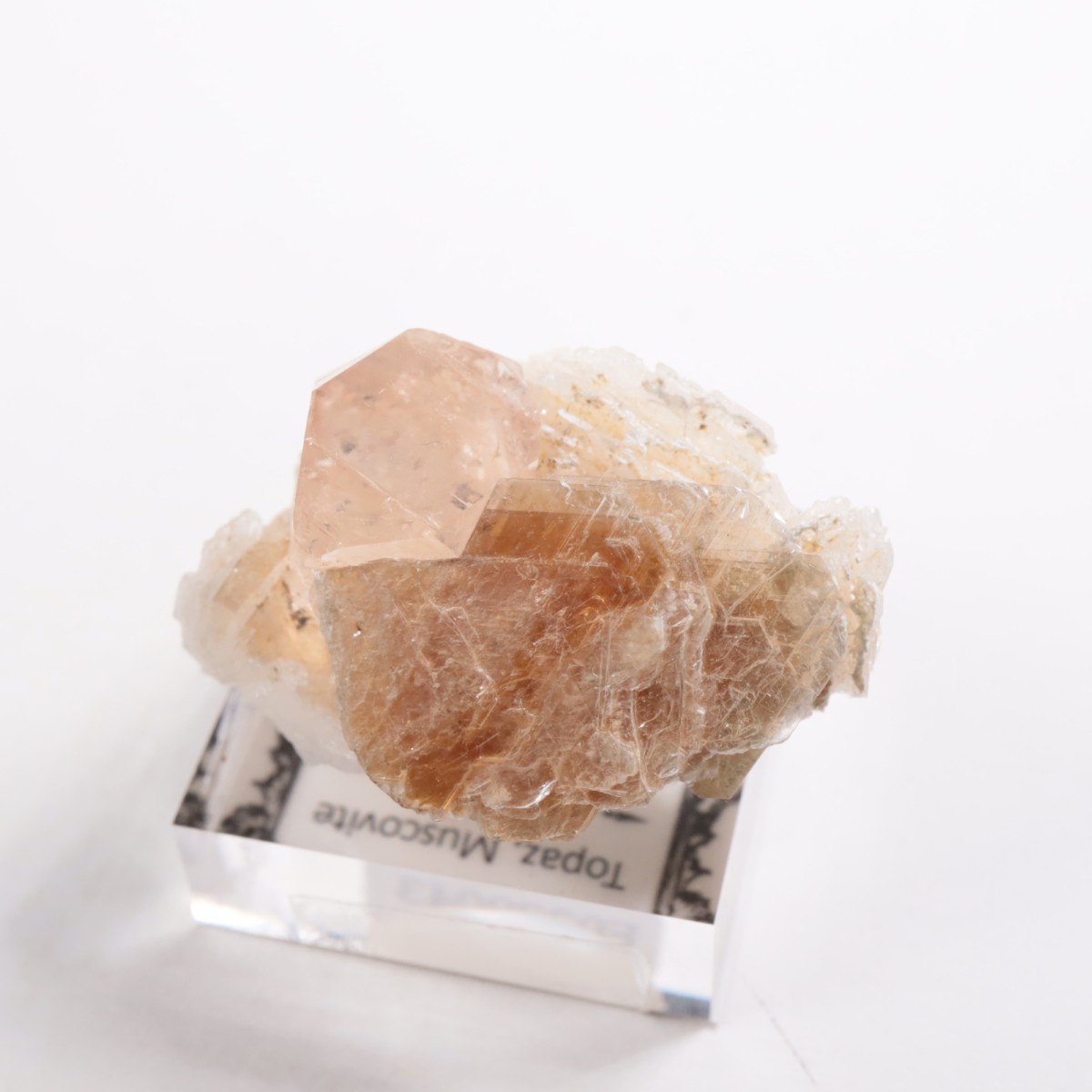 �ѥ������� �ȥѡ����������