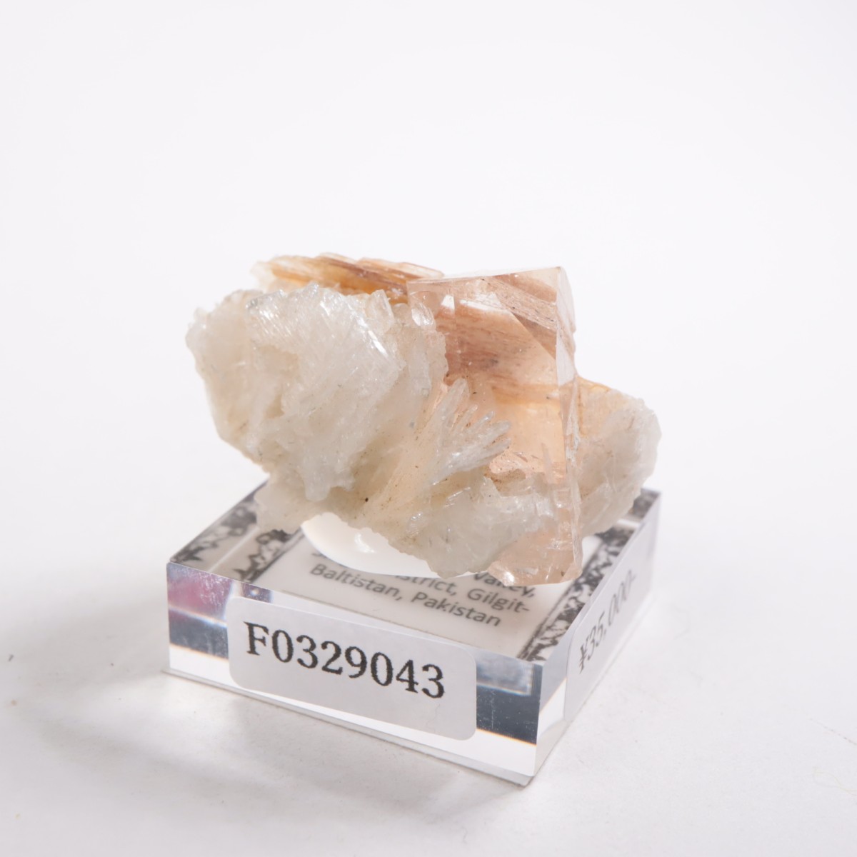 �ѥ������� �ȥѡ����������