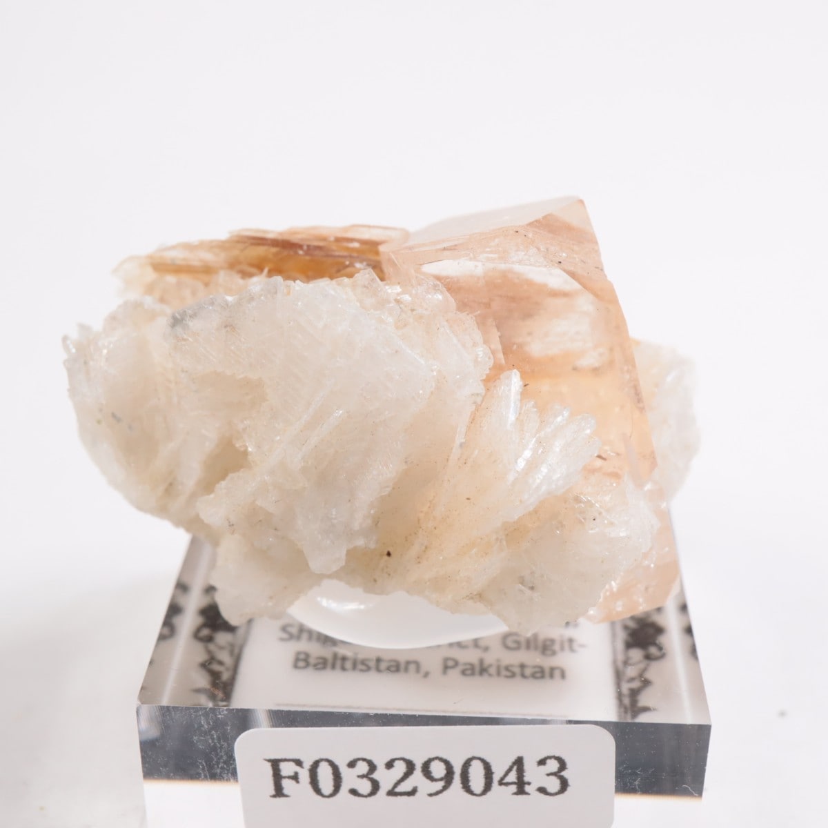 �ѥ������� �ȥѡ����������