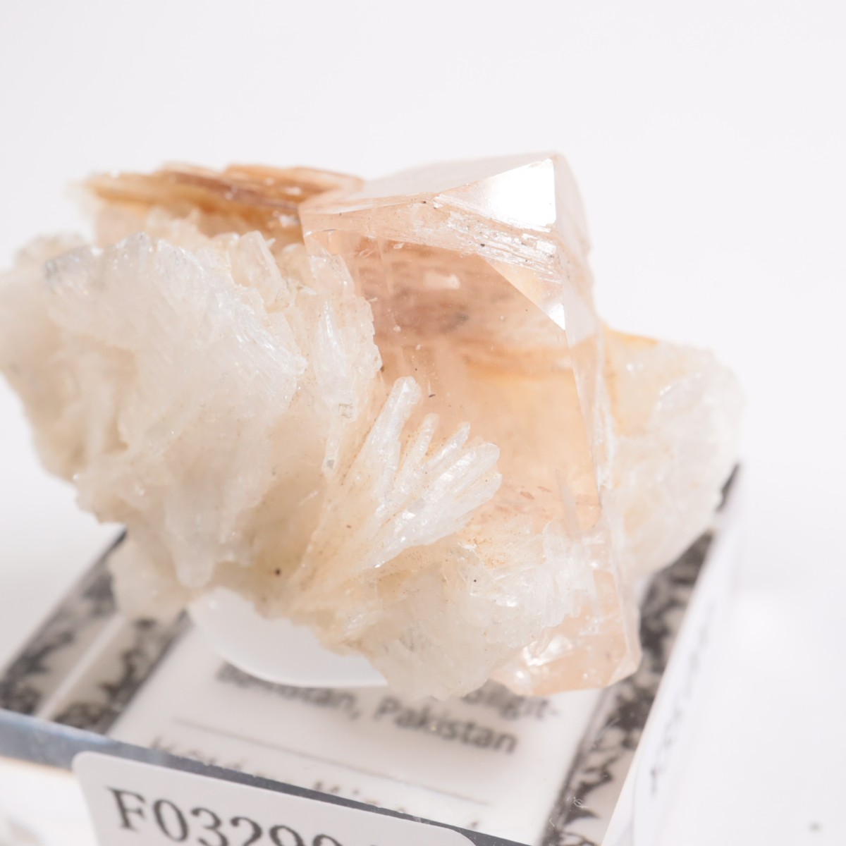 �ѥ������� �ȥѡ����������