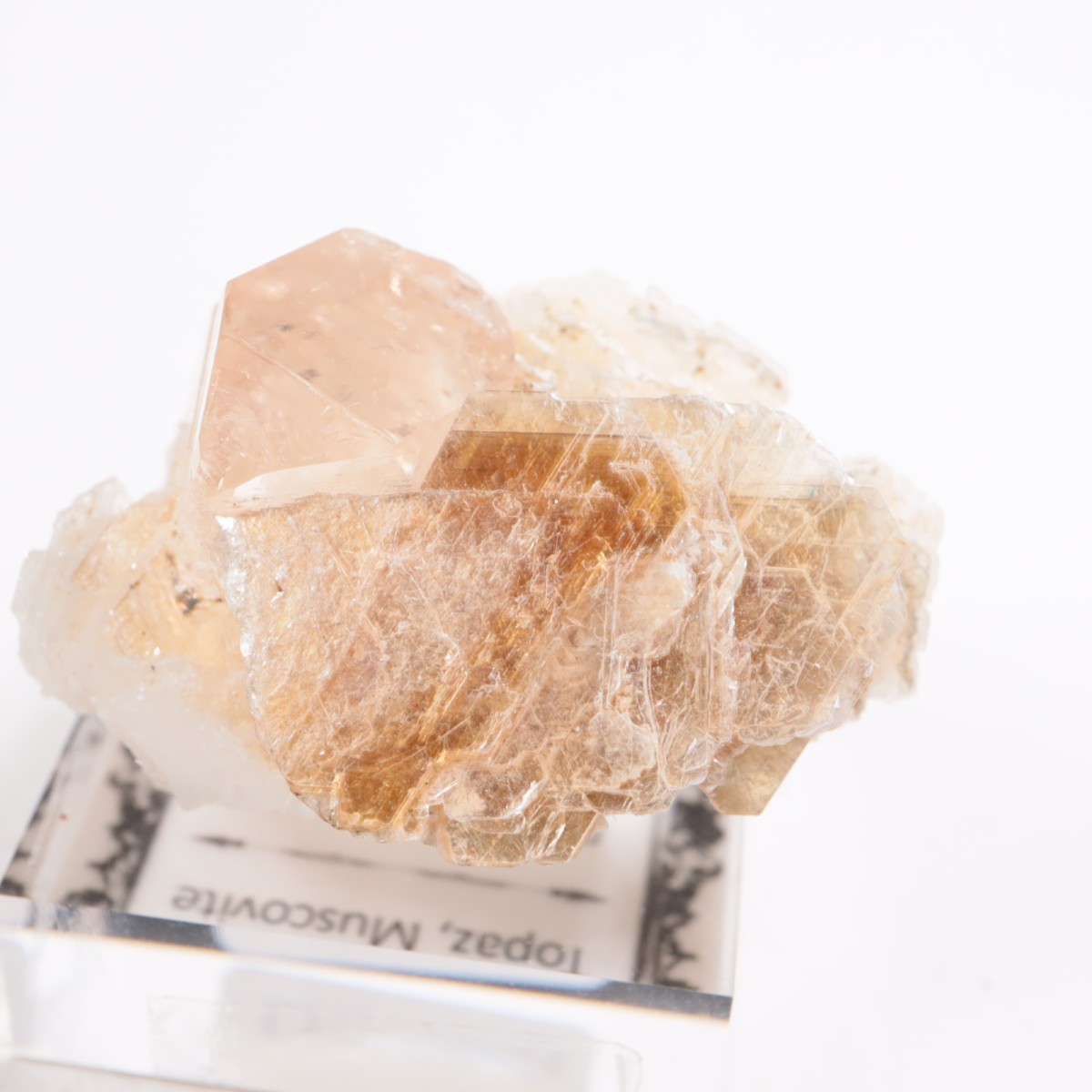 �ѥ������� �ȥѡ����������