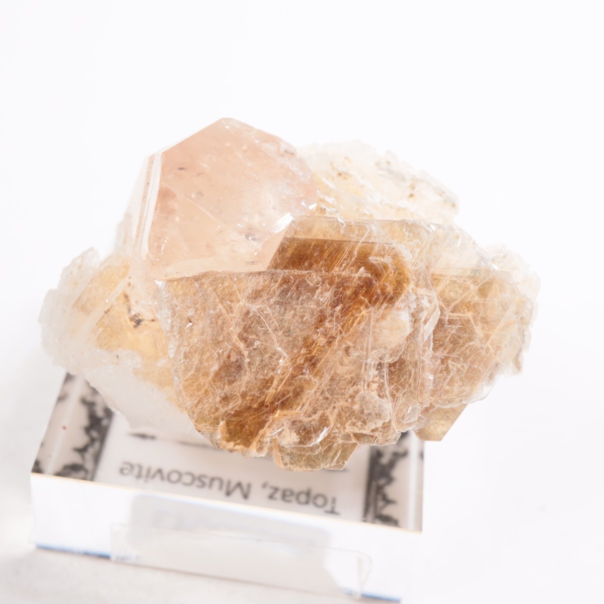 �ѥ������� �ȥѡ����������