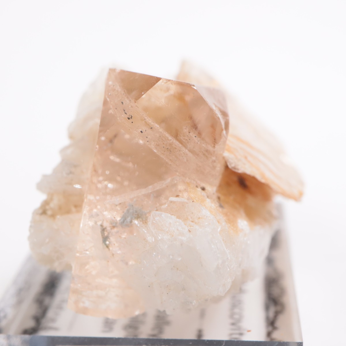 �ѥ������� �ȥѡ����������