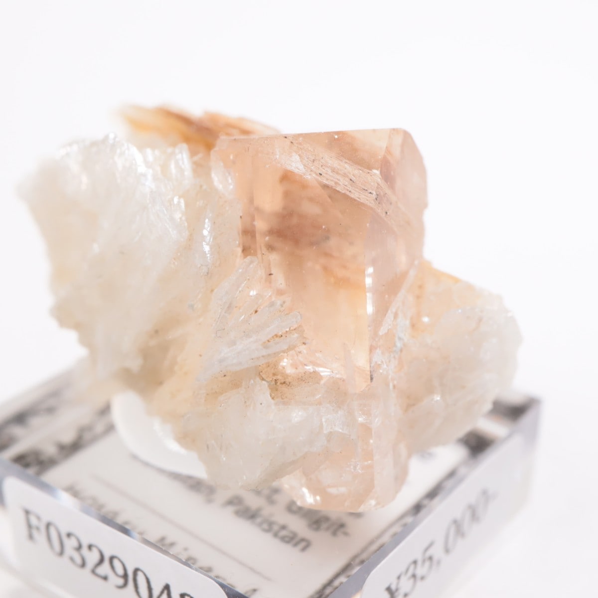 �ѥ������� �ȥѡ����������