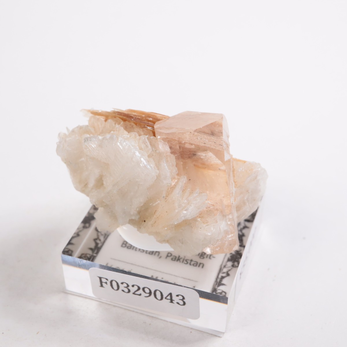 �ѥ������� �ȥѡ����������