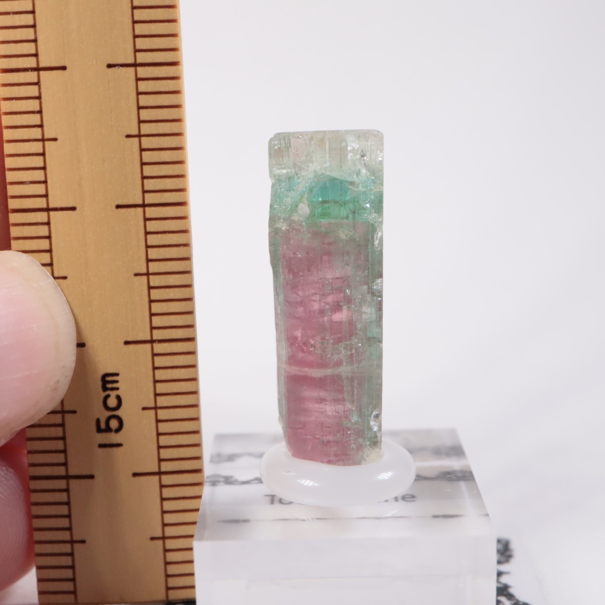 Aracuai�� �ȥ�ޥ��