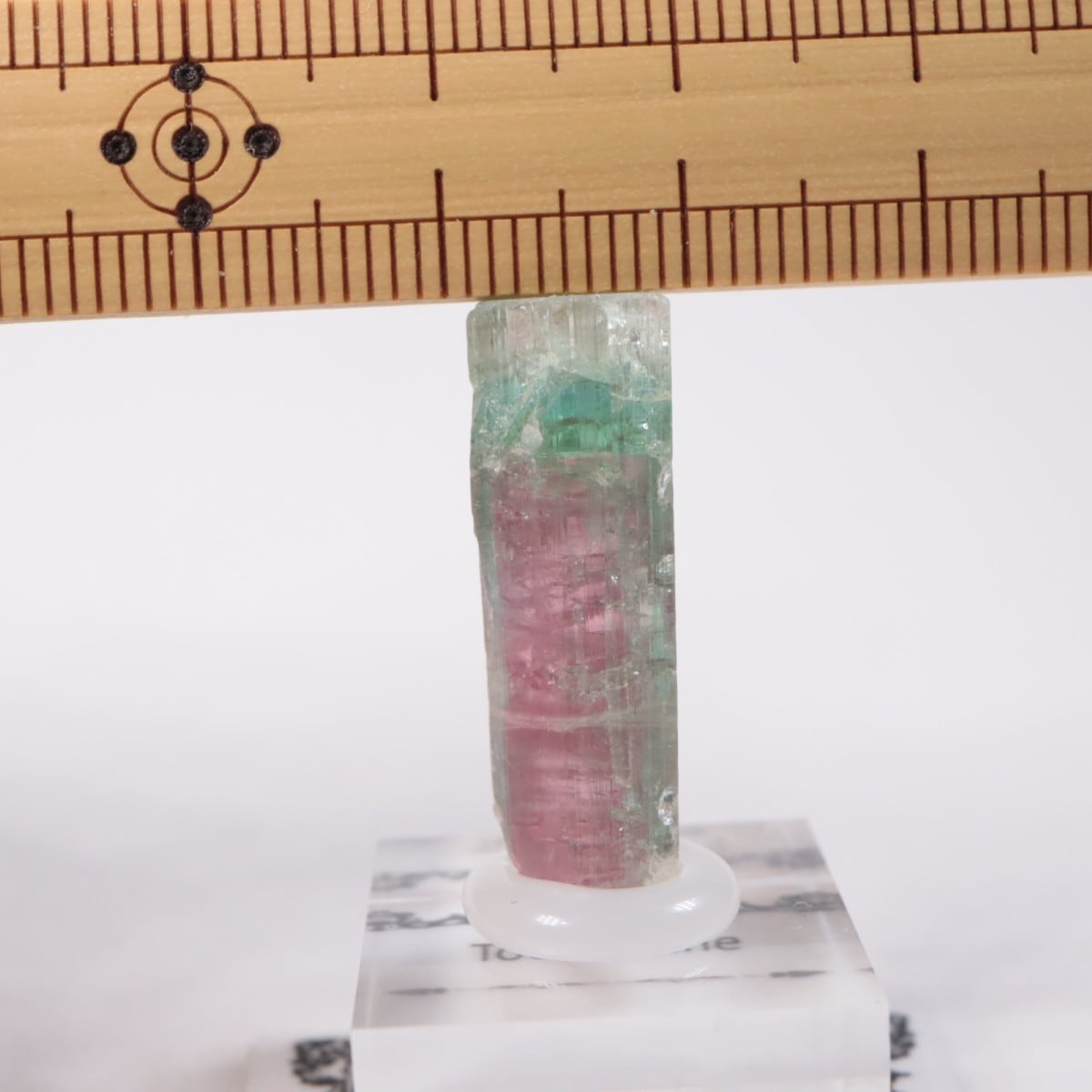 Aracuai�� �ȥ�ޥ��