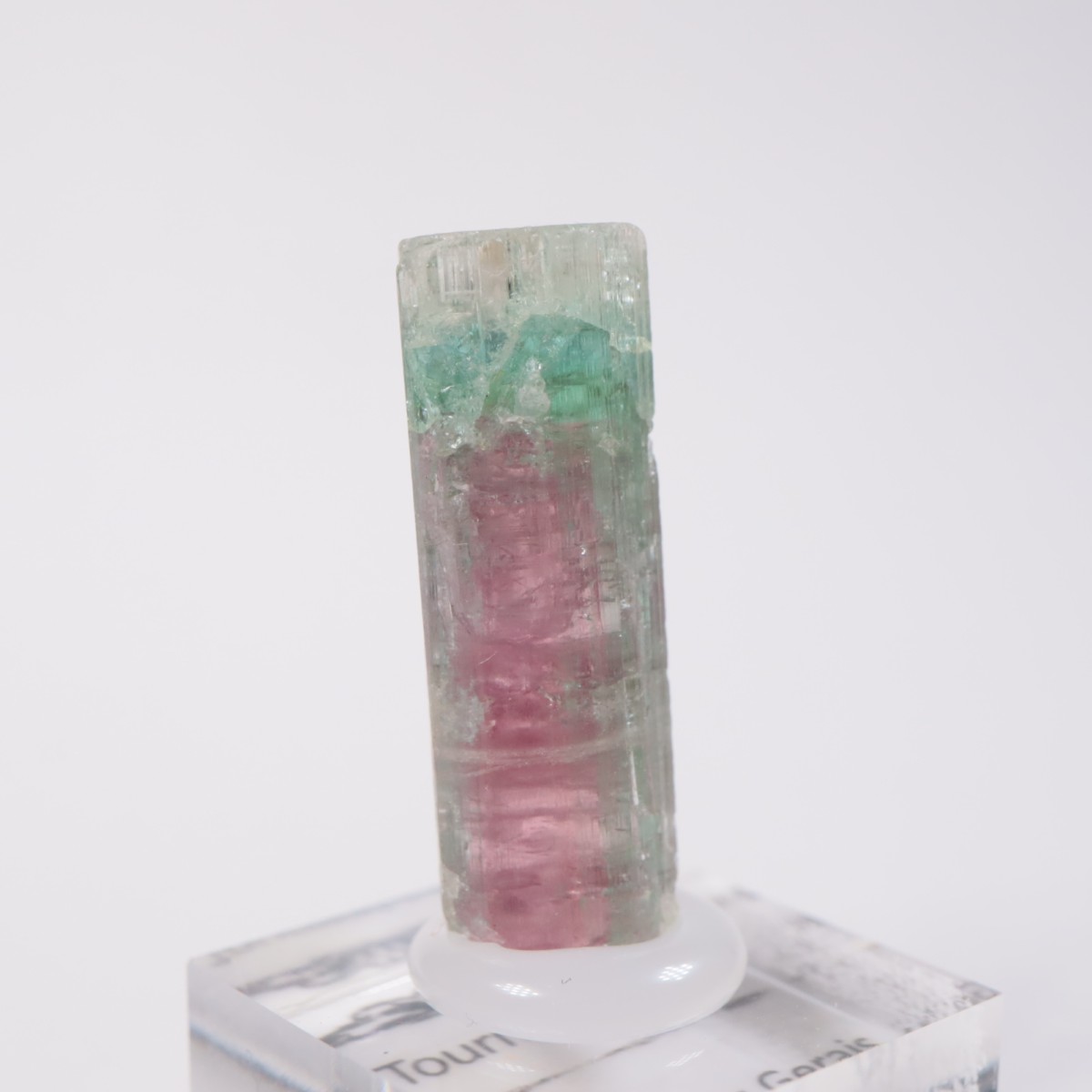 Aracuai�� �ȥ�ޥ��