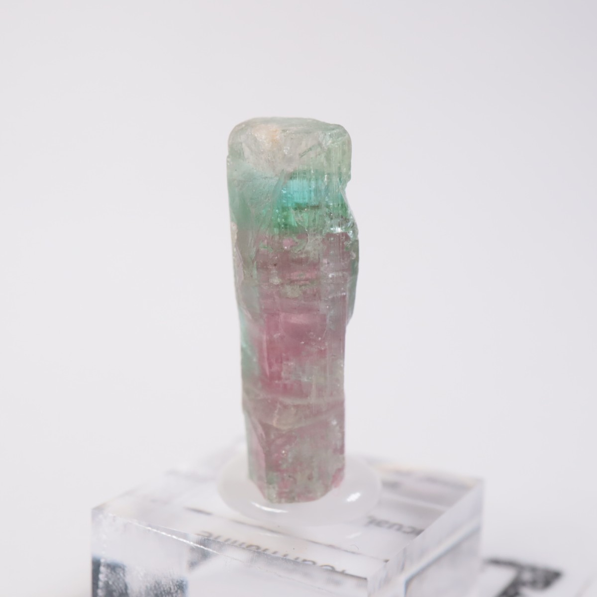 Aracuai�� �ȥ�ޥ��