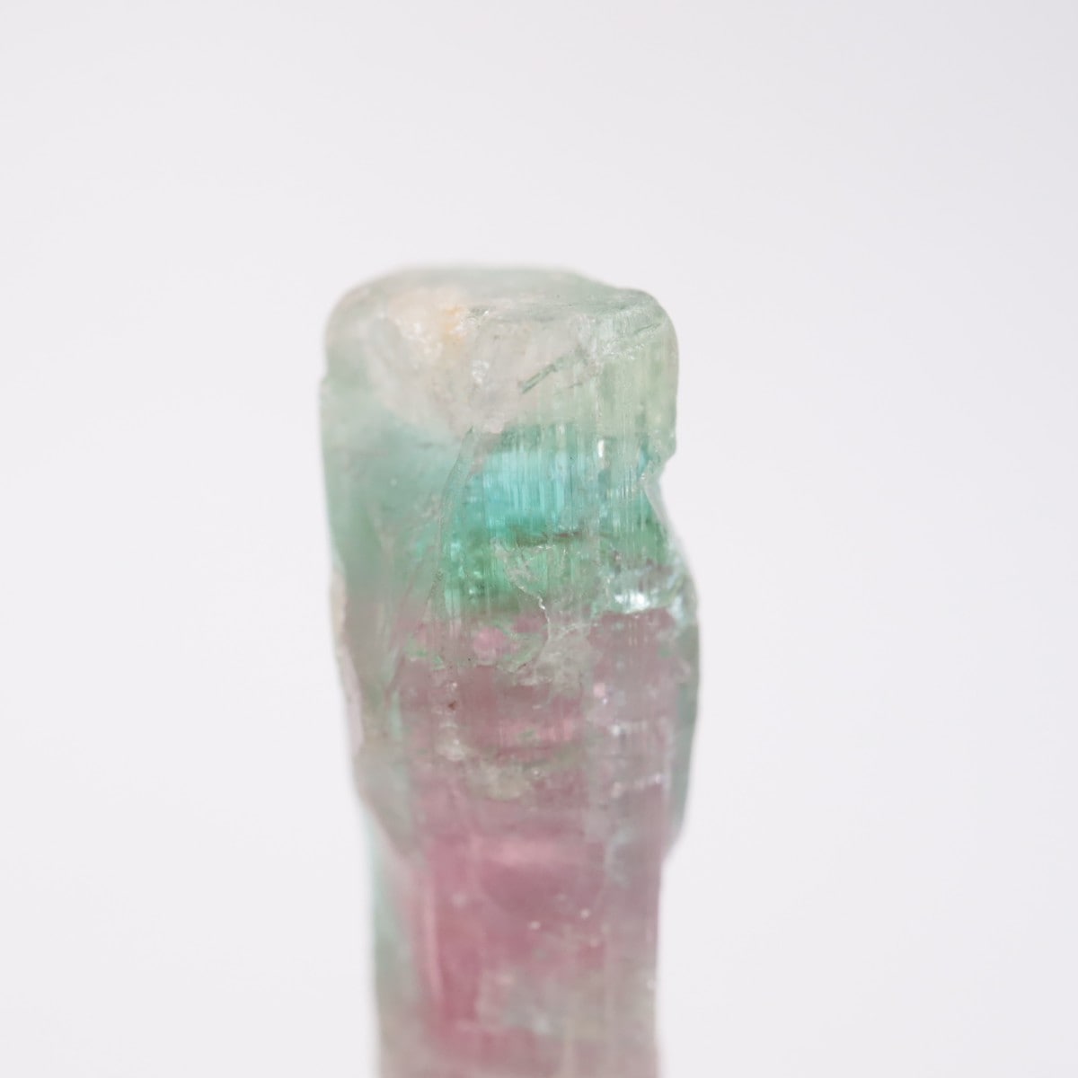 Aracuai�� �ȥ�ޥ��