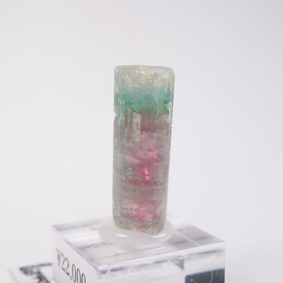 Aracuai�� �ȥ�ޥ��