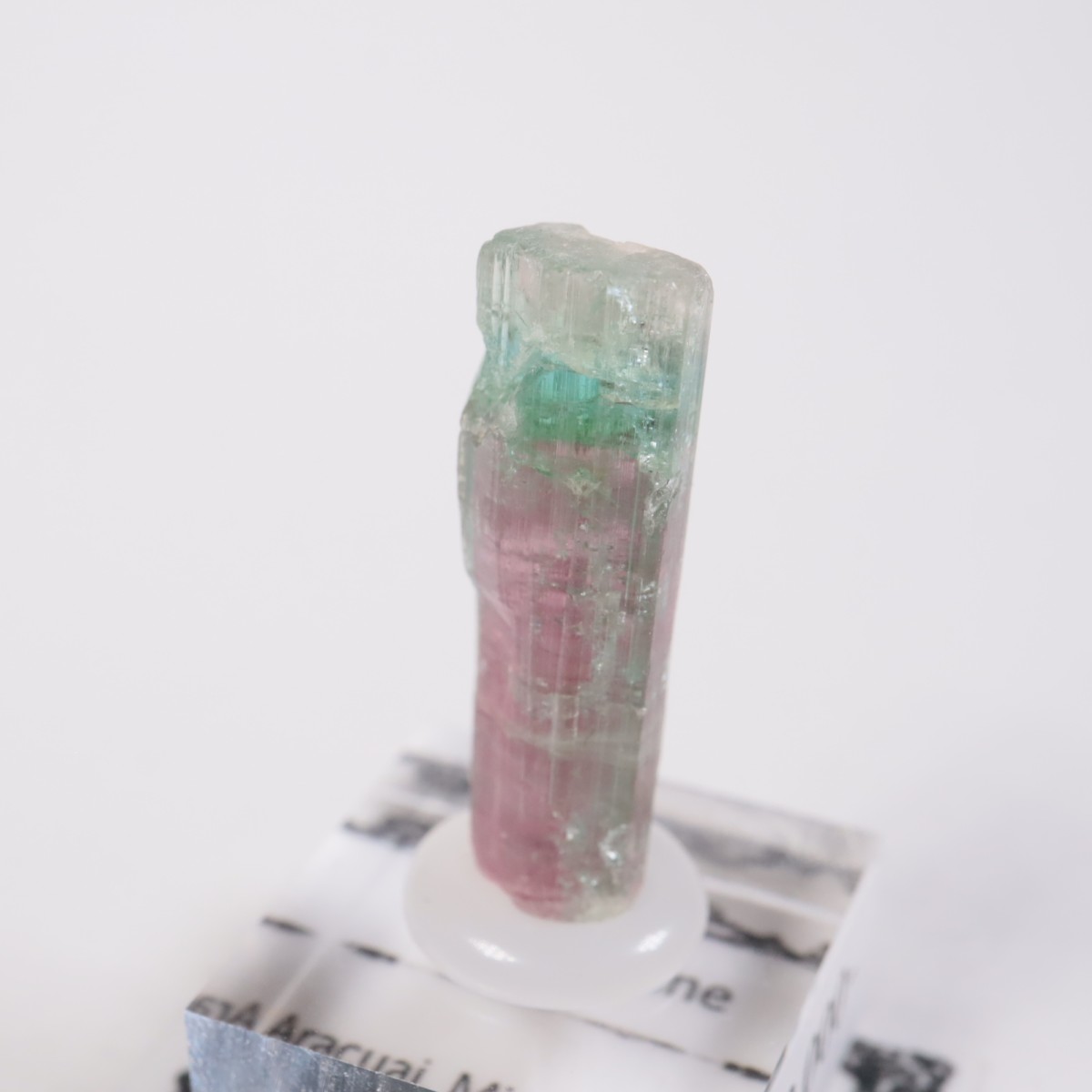 Aracuai�� �ȥ�ޥ��