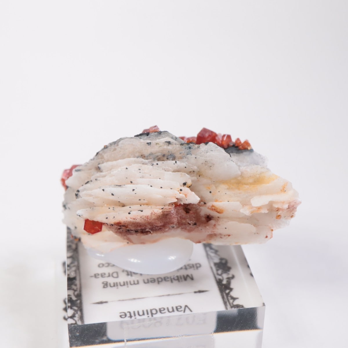 ����å������Хʥǥ��ʥ���