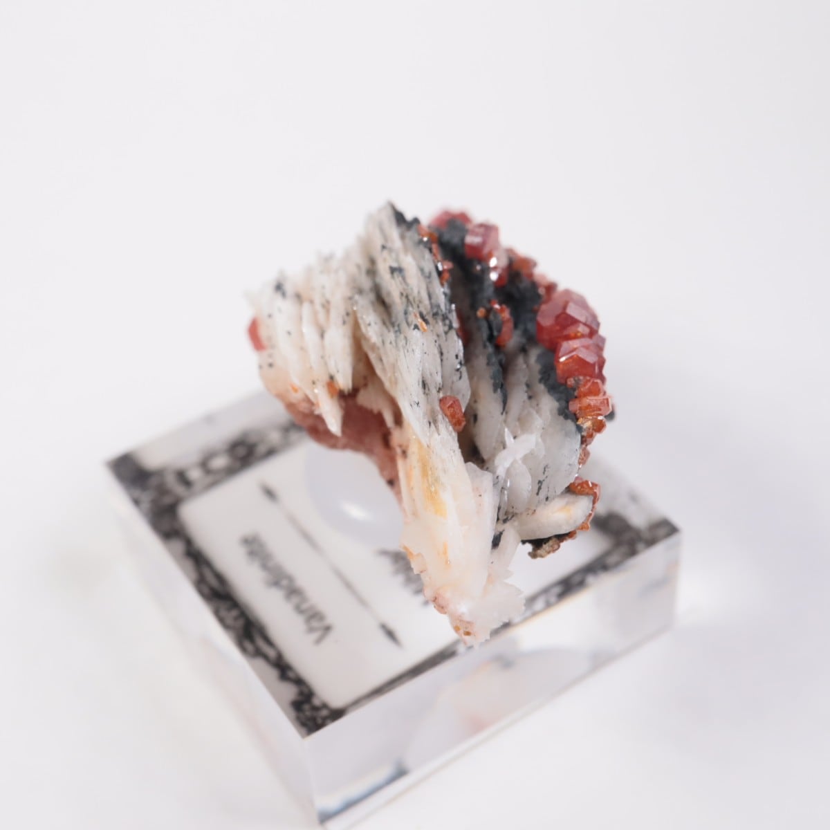 ����å������Хʥǥ��ʥ���