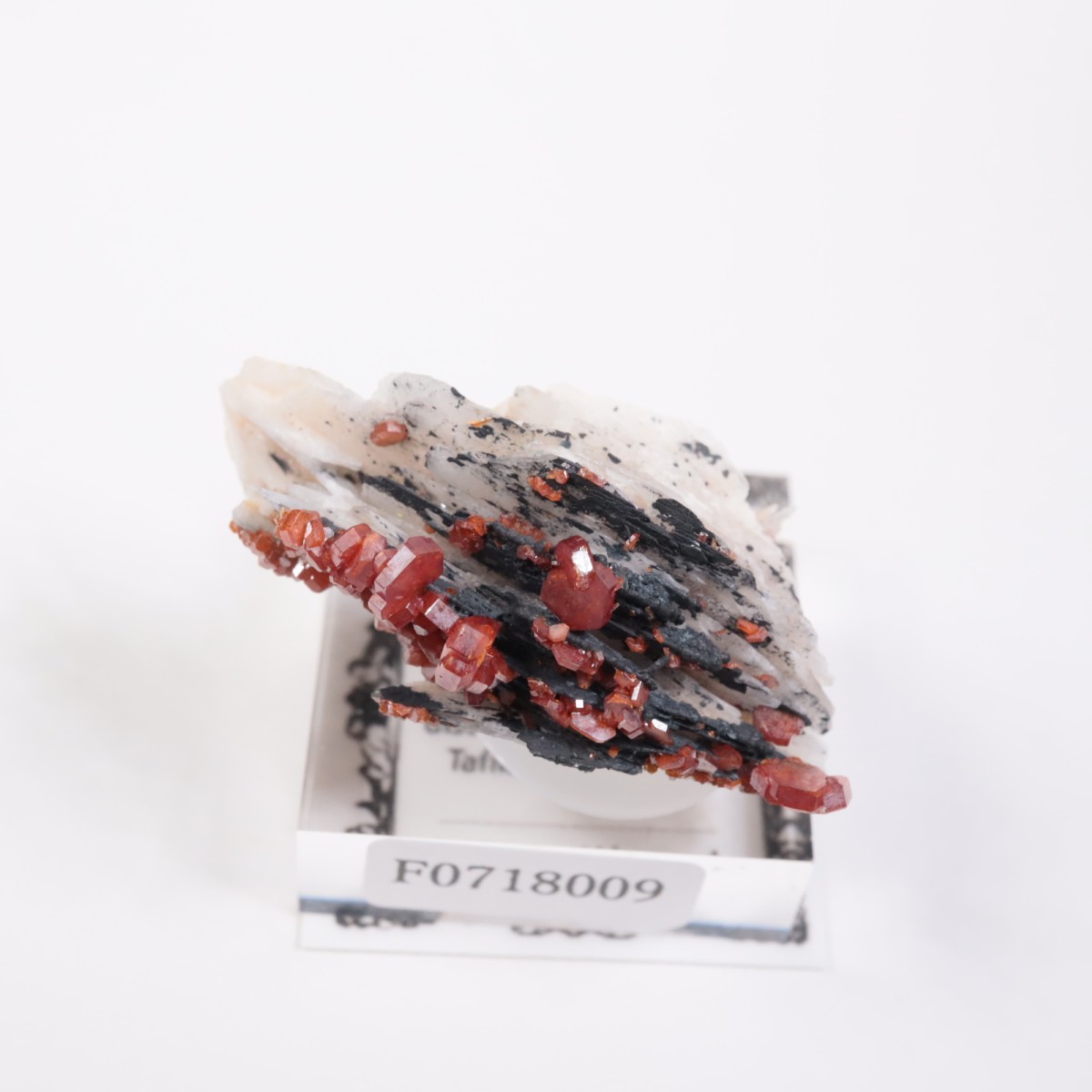 ����å������Хʥǥ��ʥ���