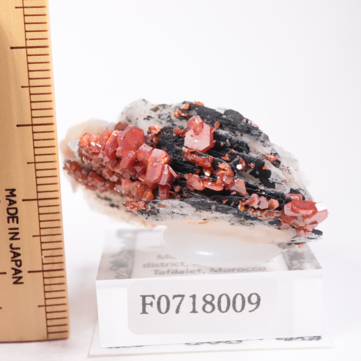 ����å������Хʥǥ��ʥ���