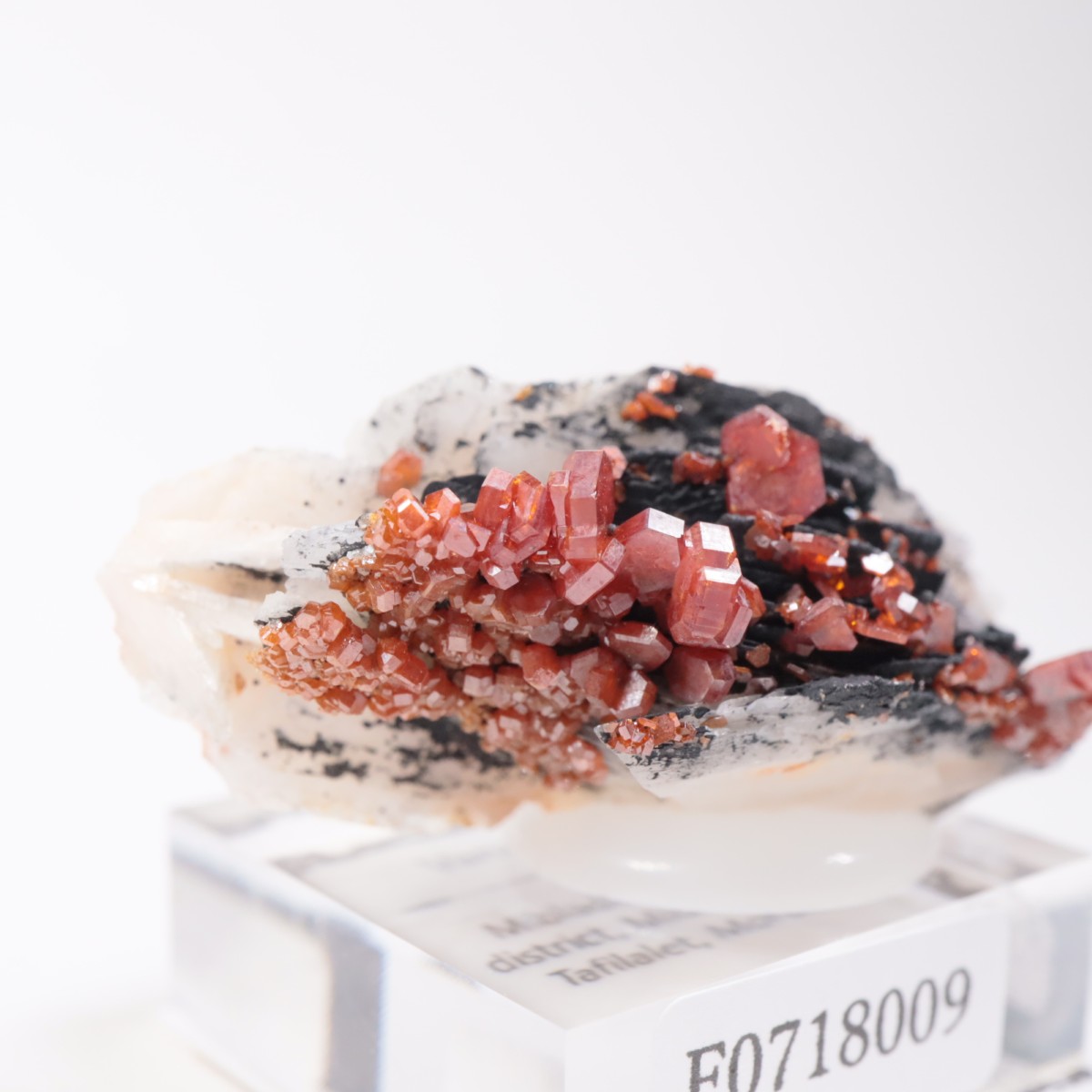 ����å������Хʥǥ��ʥ���