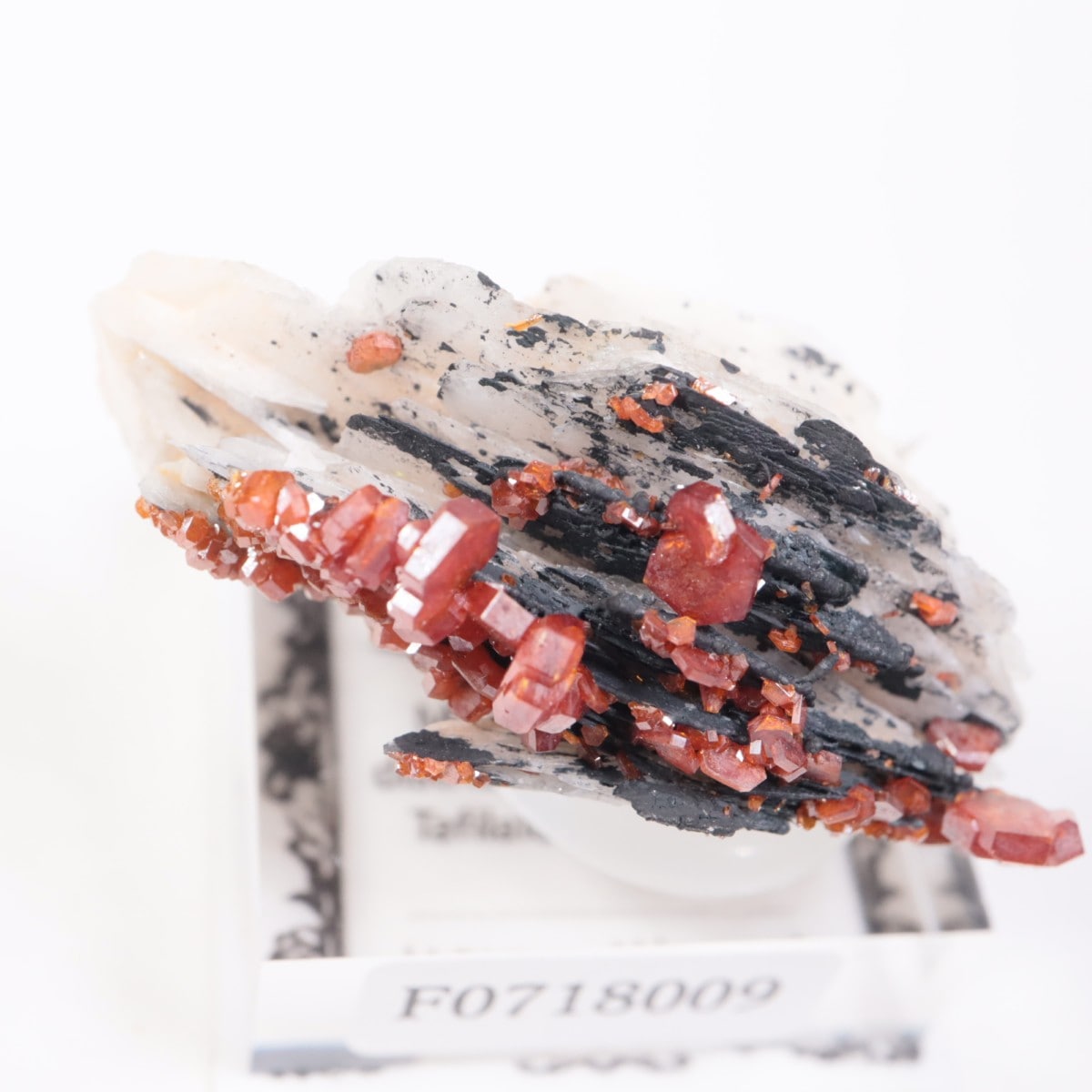 ����å������Хʥǥ��ʥ���