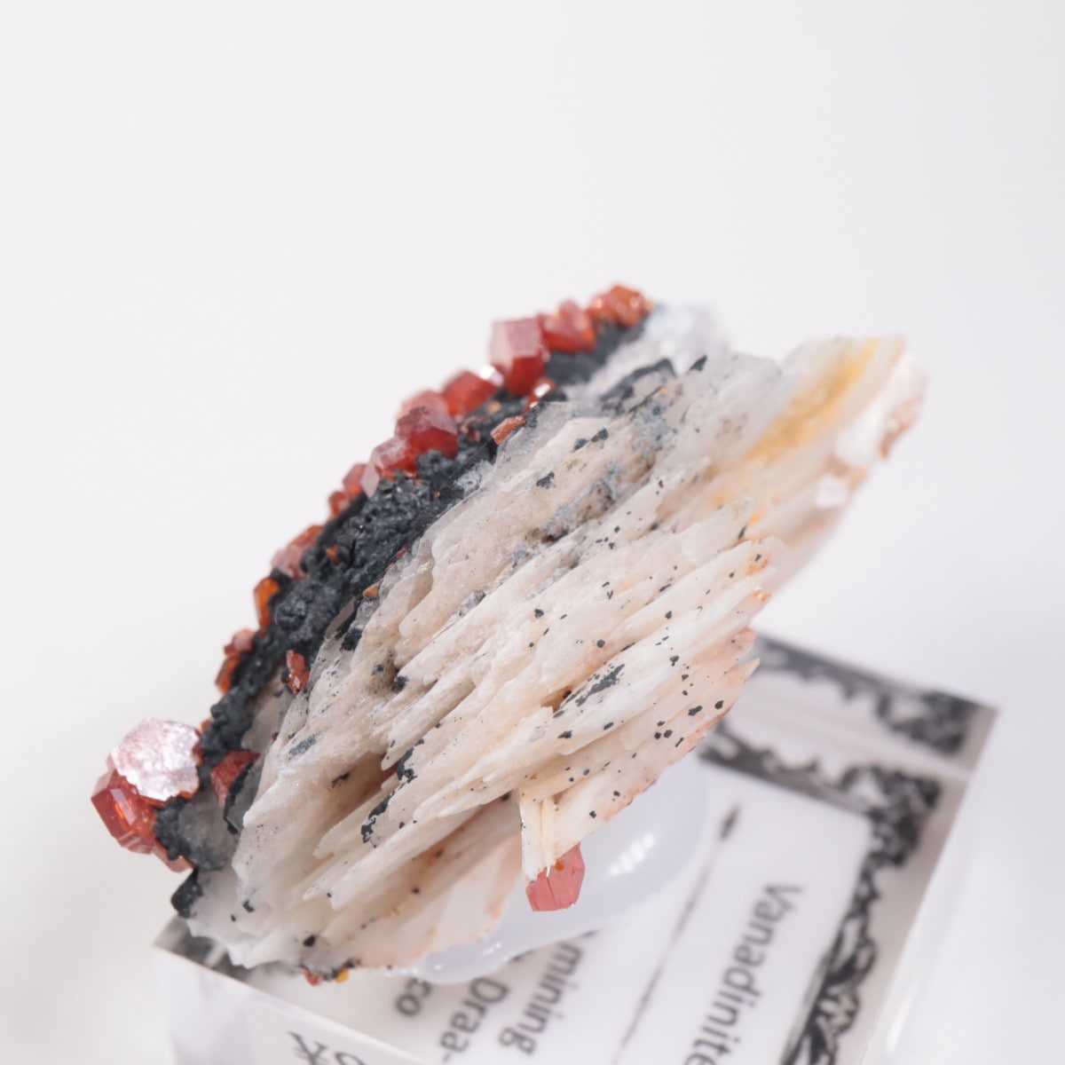 ����å������Хʥǥ��ʥ���