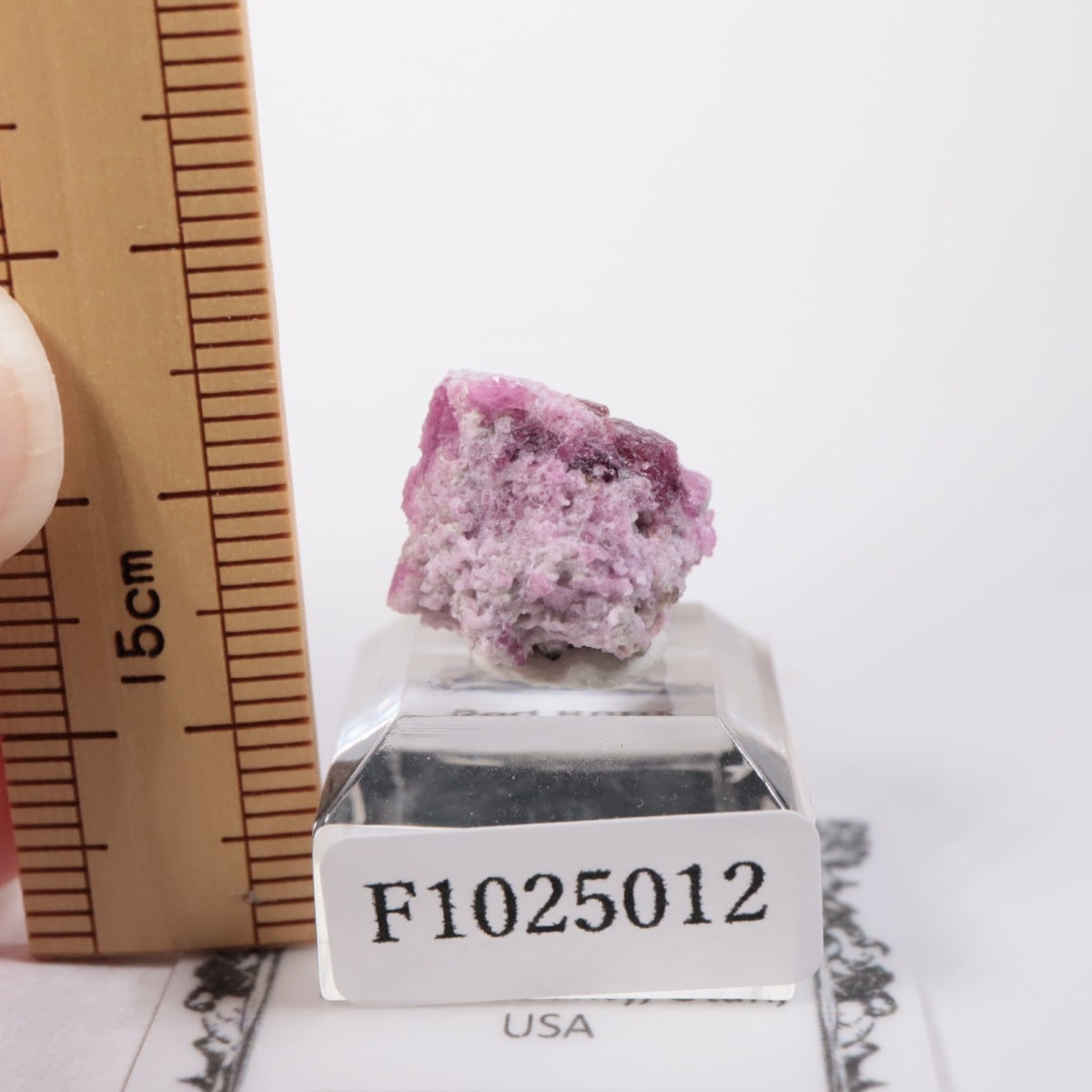 �楿�� ��åɥ٥��