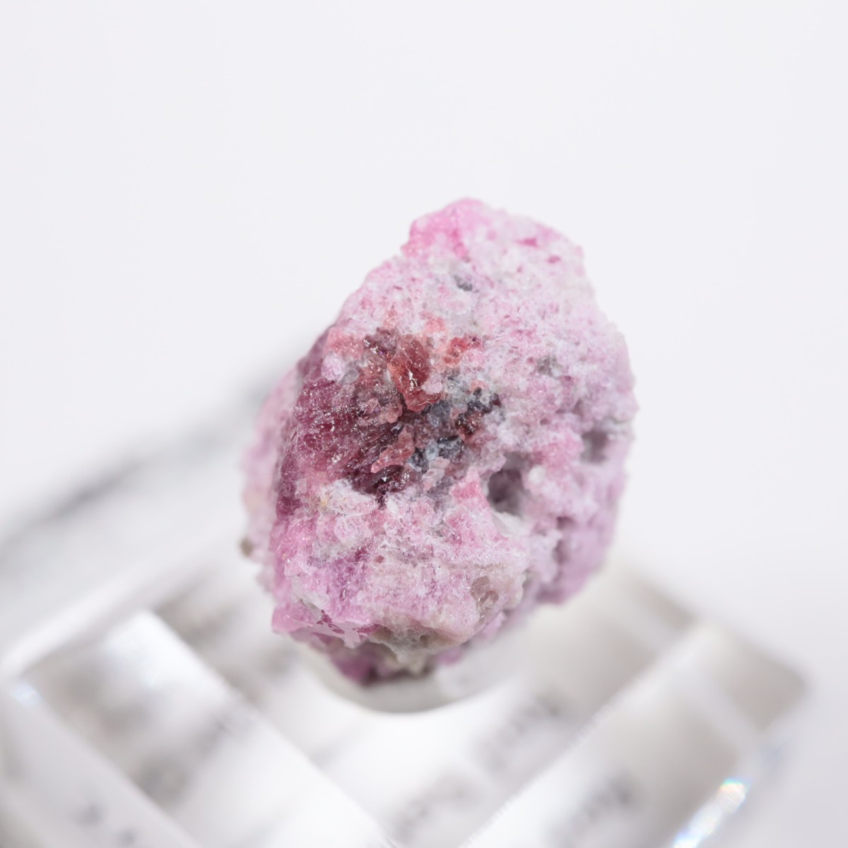 �楿�� ��åɥ٥��