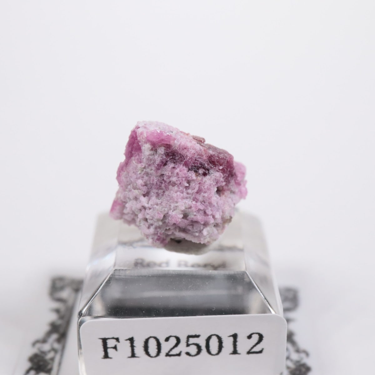 �楿�� ��åɥ٥��