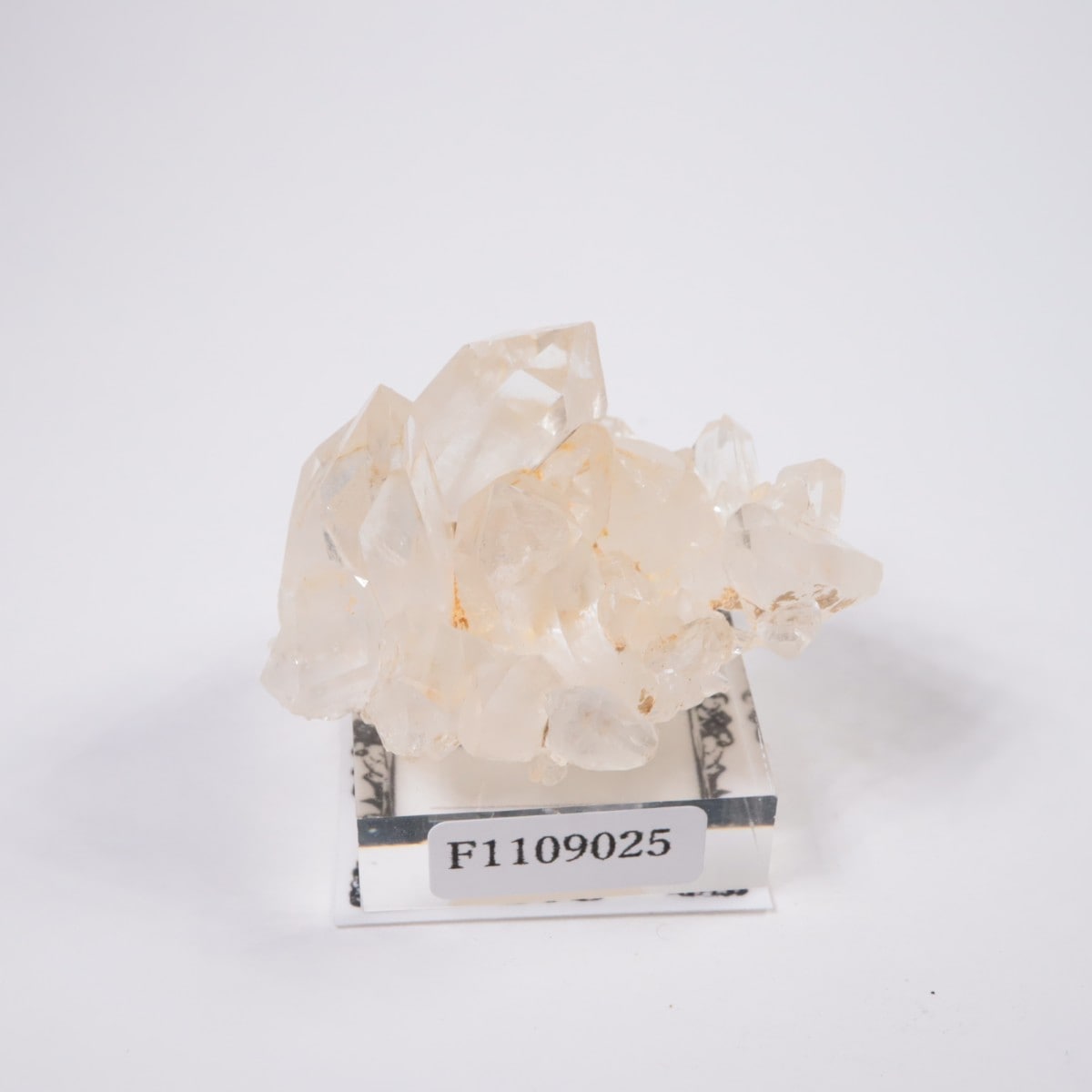 �����������ۻ� �徽