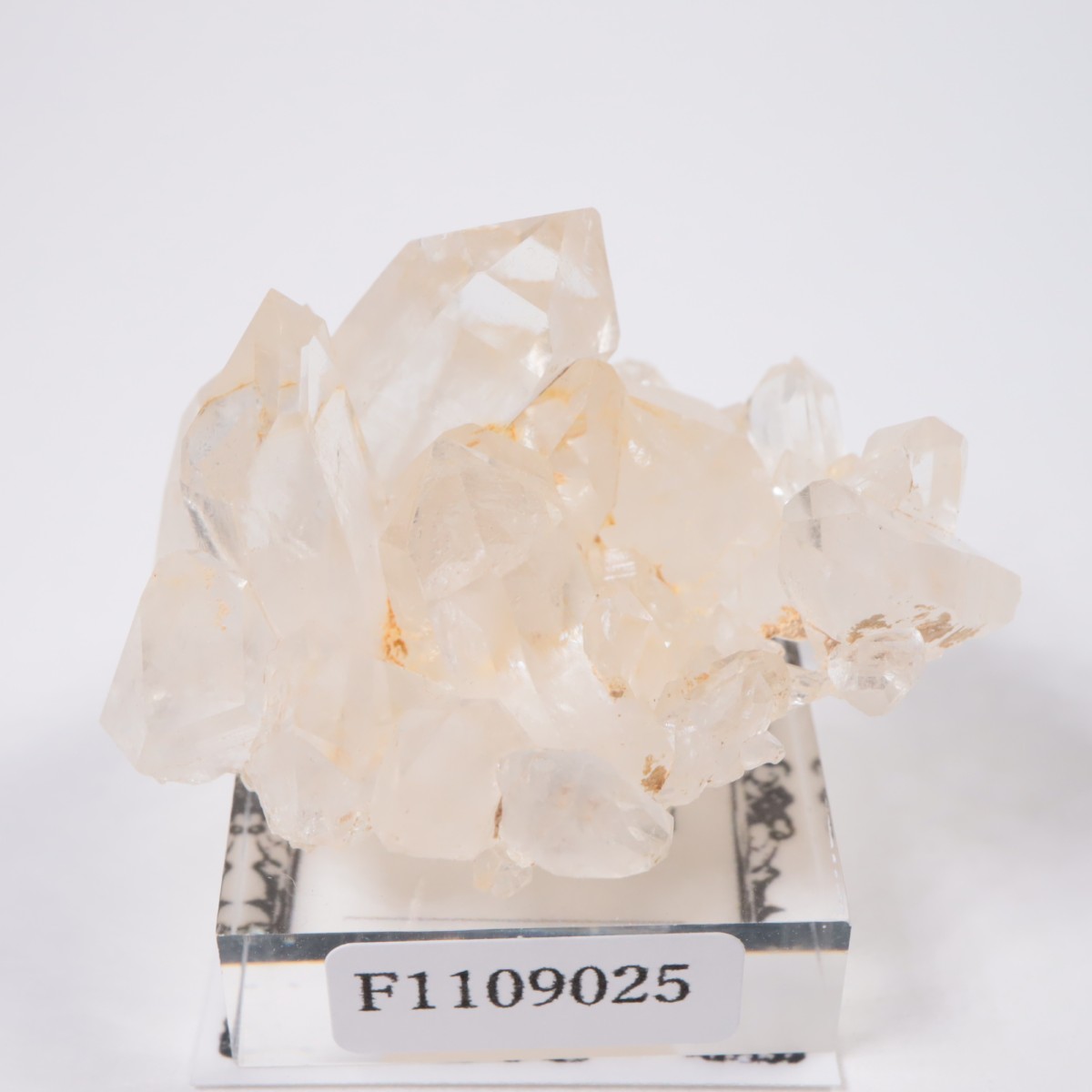 専用ページ 乙女鉱山産 ミニクラスター 山梨県乙女鉱山 水晶 | 鉱物標本,カ行,クォーツ/水晶 | ほたるみねらる