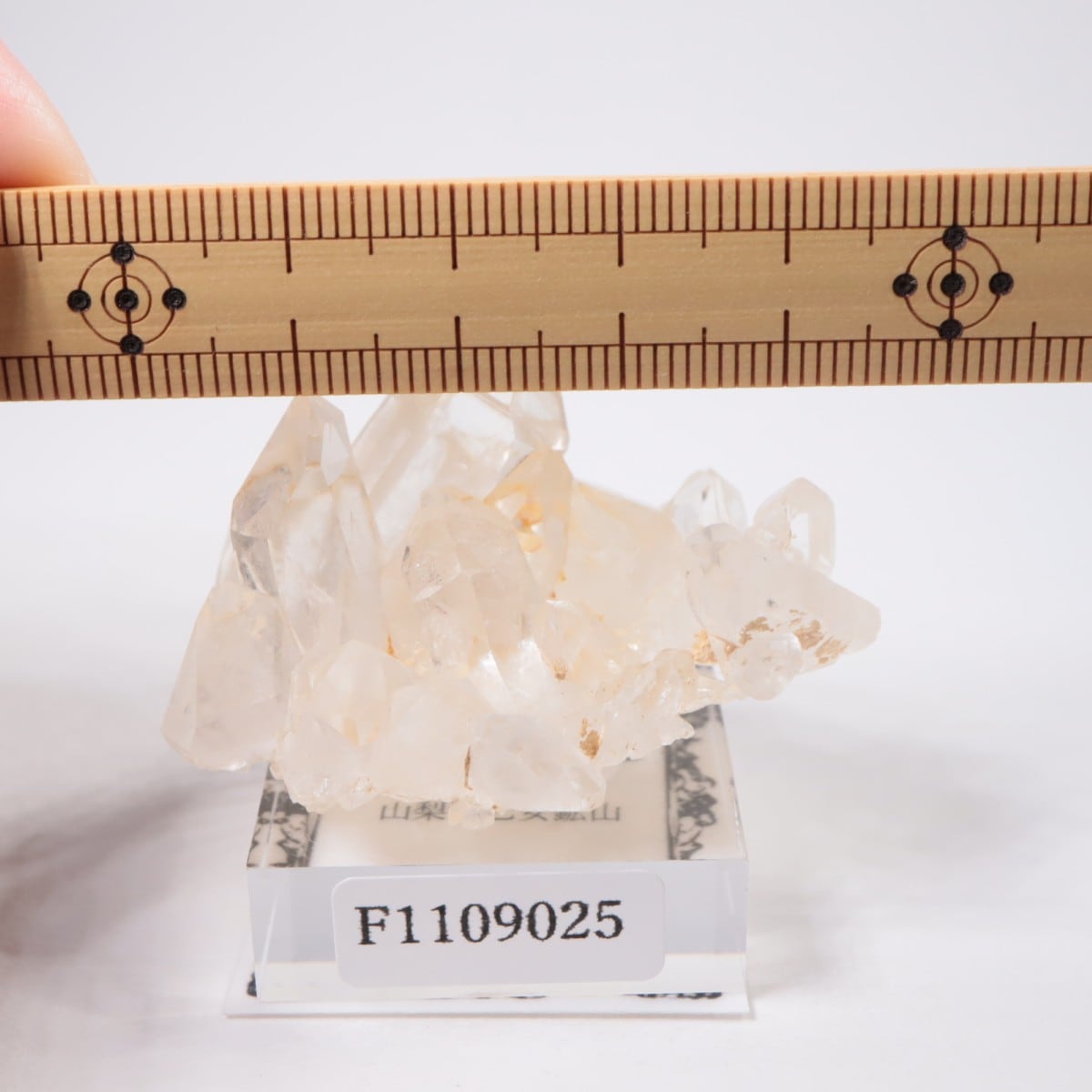 �����������ۻ� �徽