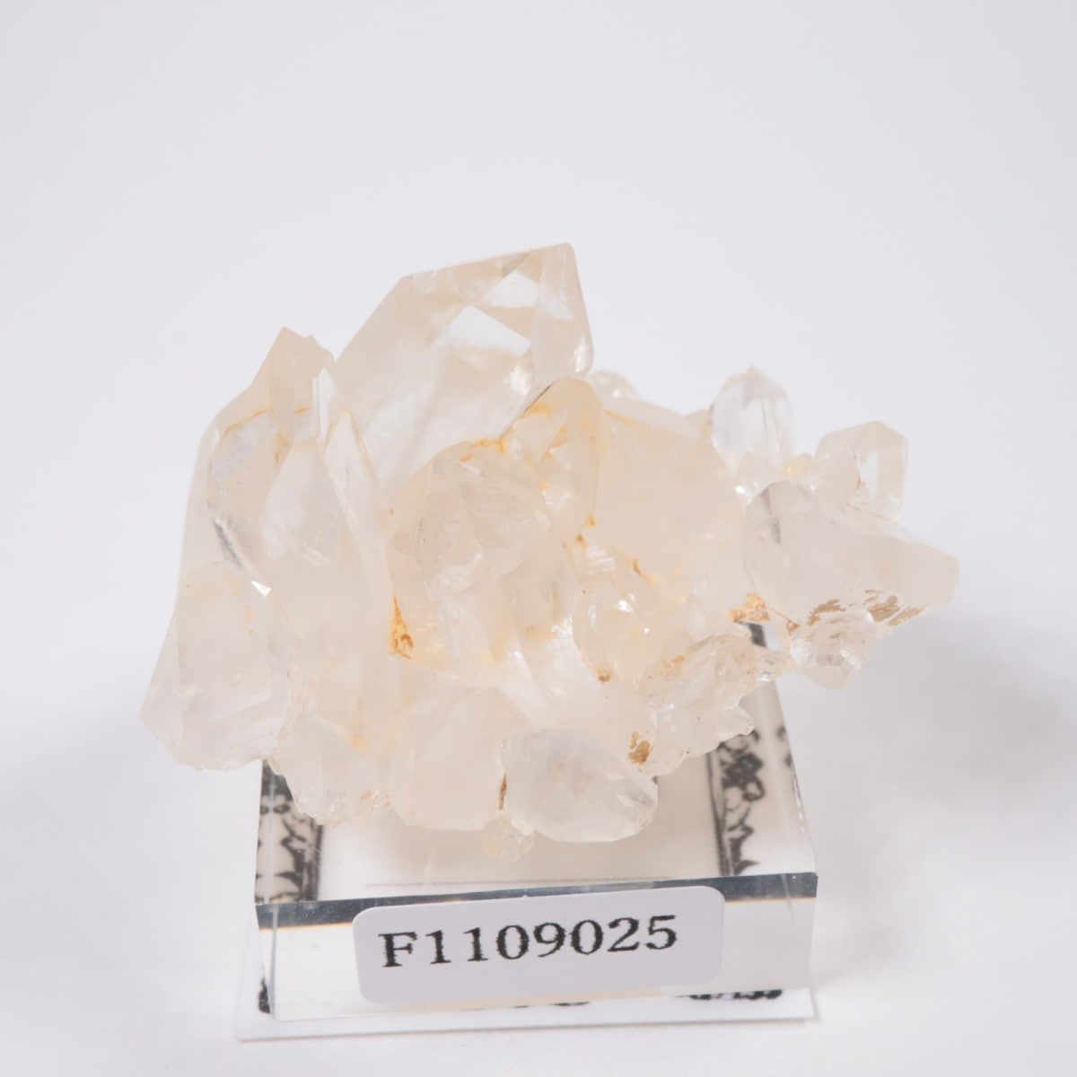 �����������ۻ� �徽