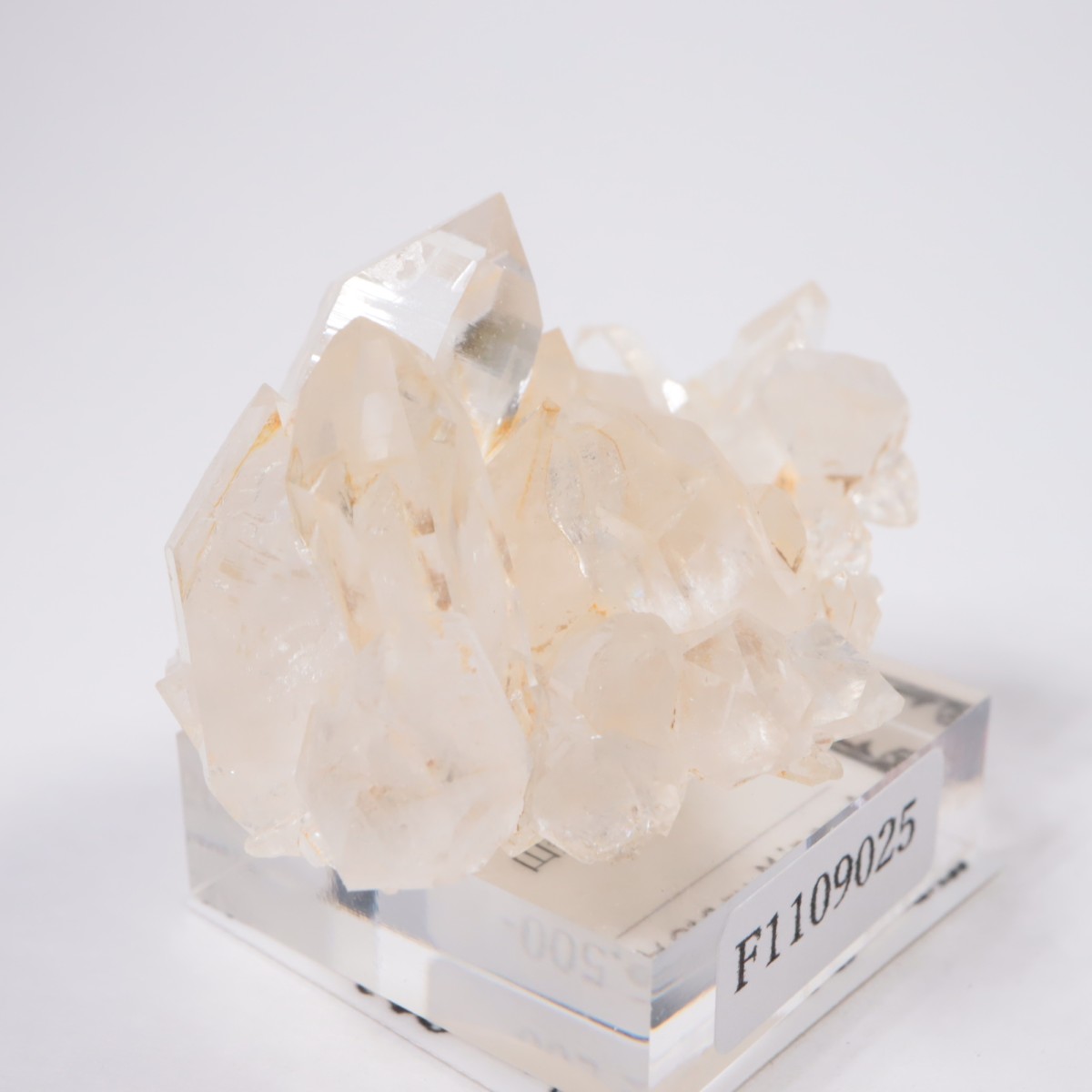 �����������ۻ� �徽