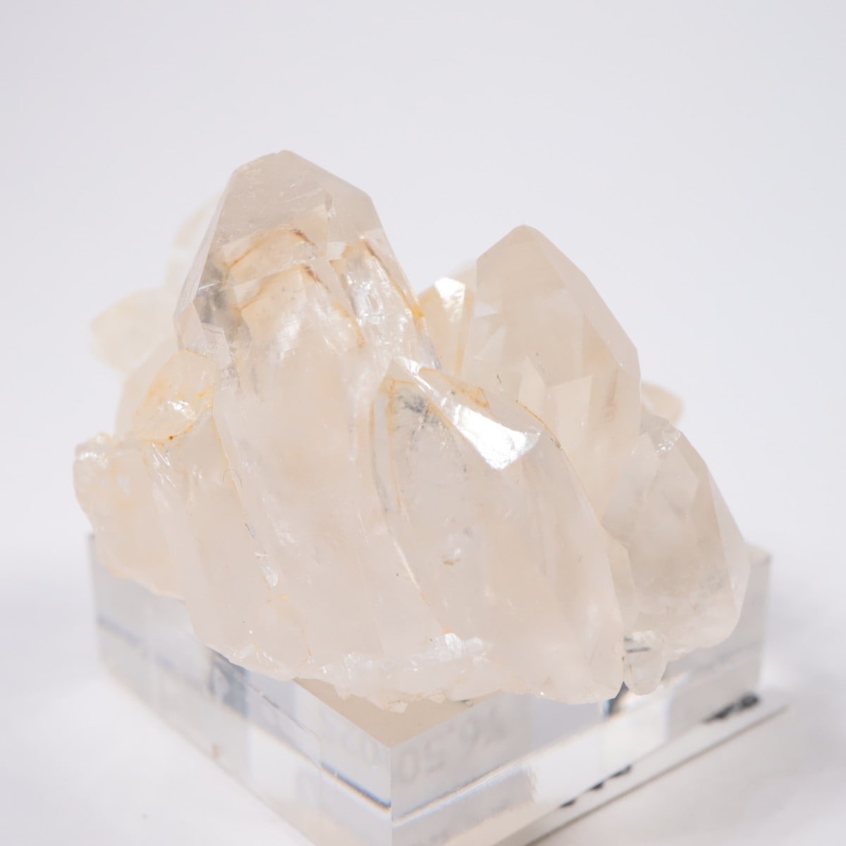 �����������ۻ� �徽