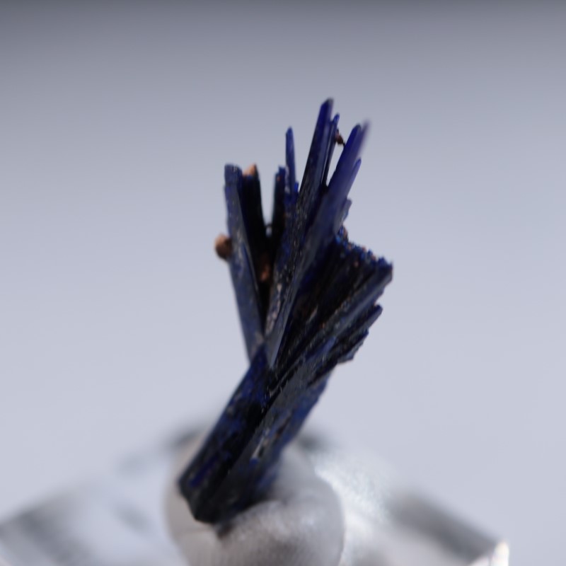 ����å����������饤��