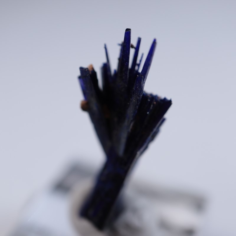 ����å����������饤��