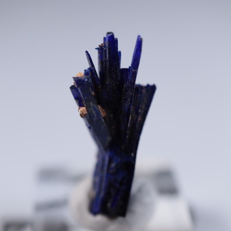 ����å����������饤��