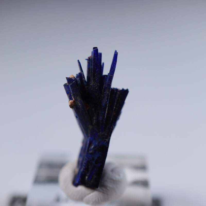 ����å����������饤��