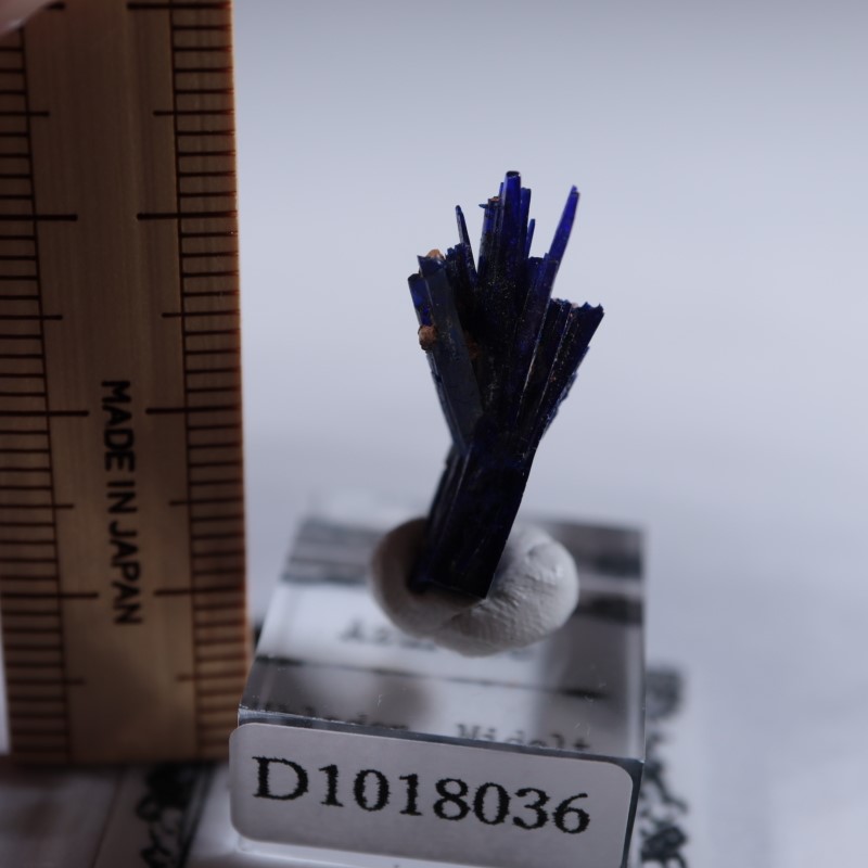 ����å����������饤��