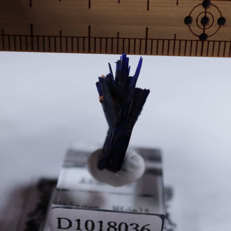 ����å����������饤��