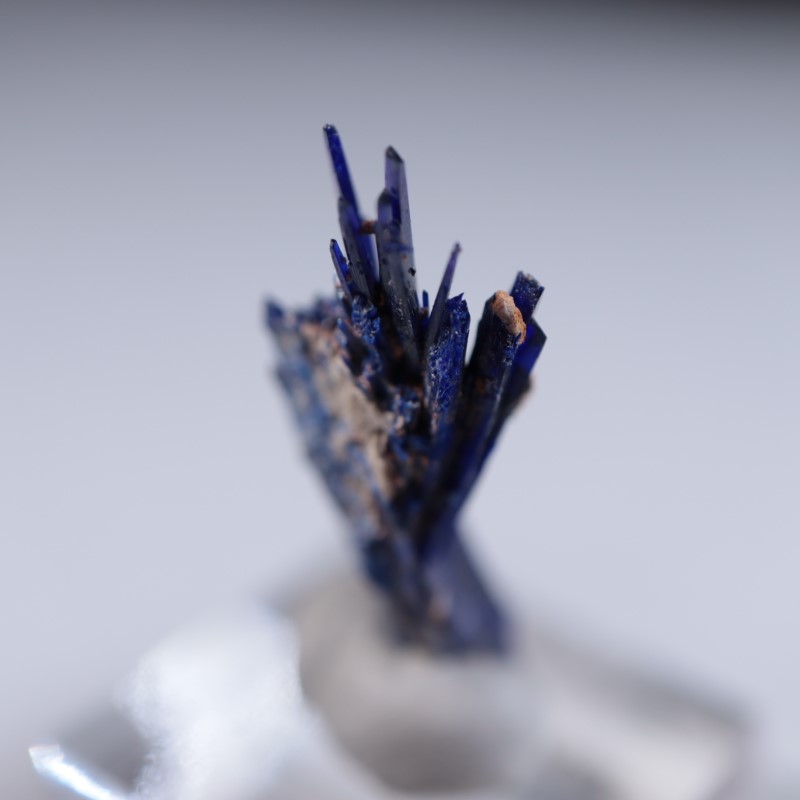 ����å����������饤��