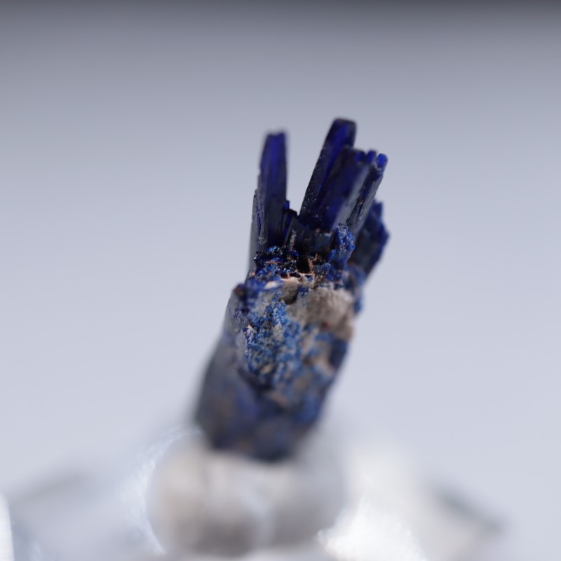 ����å����������饤��