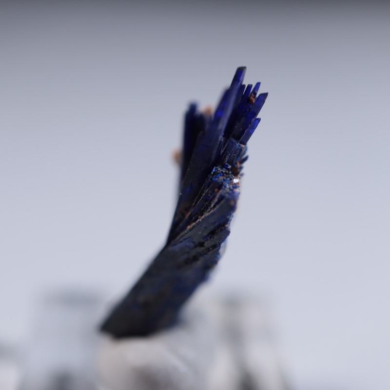 ����å����������饤��