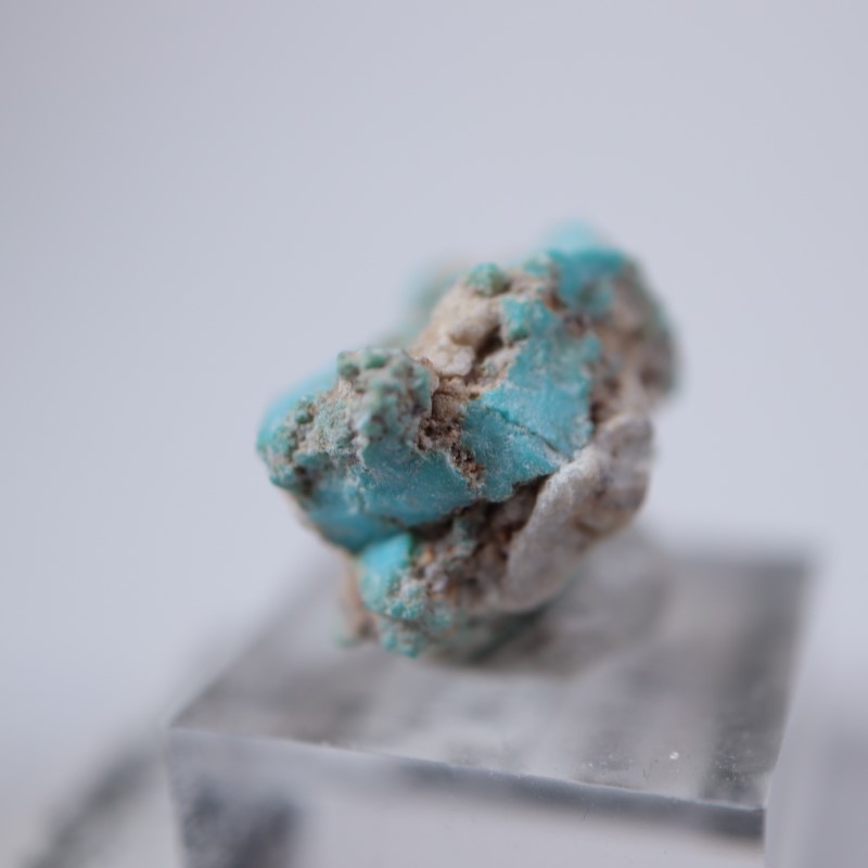 スリーピングビューティー鉱山 ターコイズ | 鉱物標本,タ行,ターコイズ