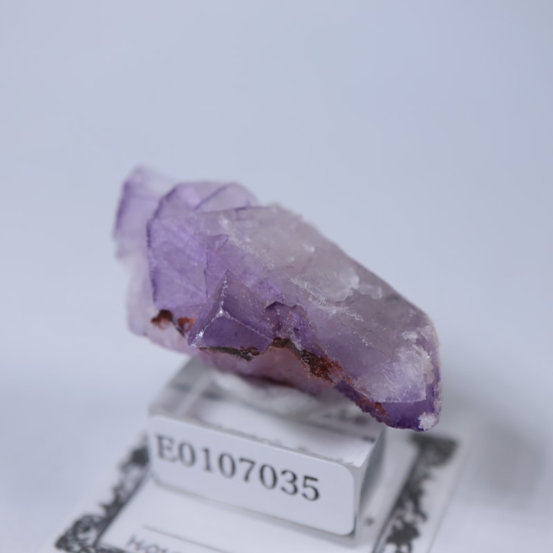 ����å������ե����饤��