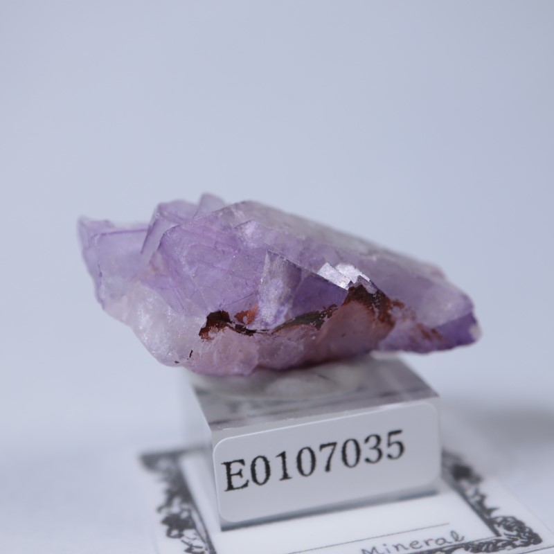 ����å������ե����饤��