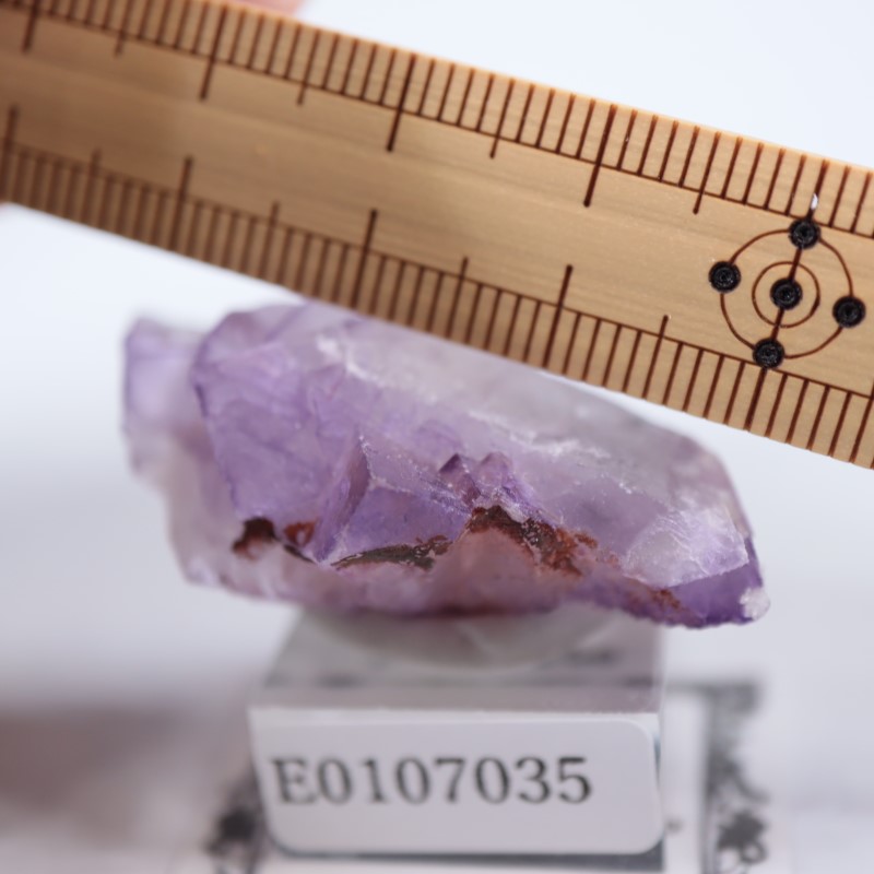 ����å������ե����饤��