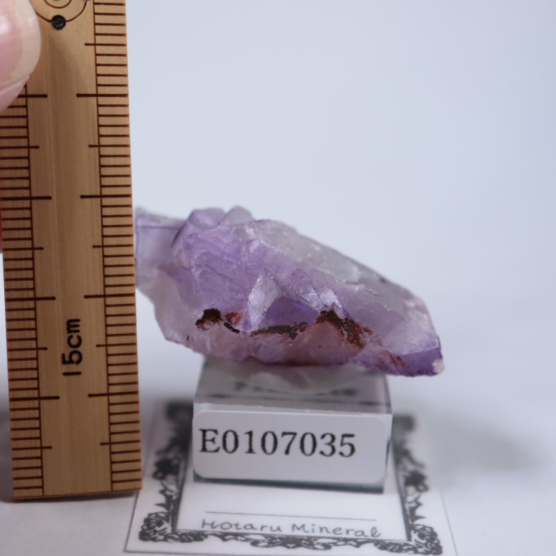 ����å������ե����饤��