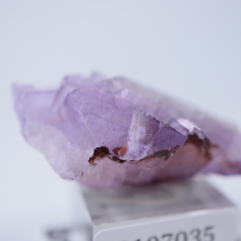 ����å������ե����饤��