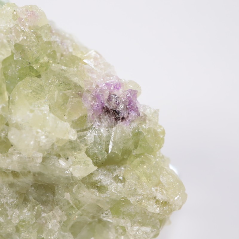 �����ե꡼�ۻ��� �٥��ӥ��ʥ���